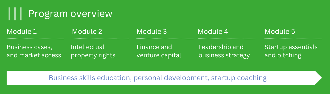 Program Overview
